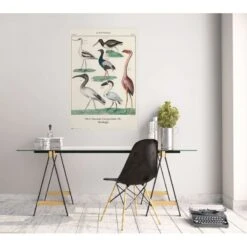Poster Pajaros Vintage -Eric Ventas poster pajaros vintage 1