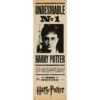 Poster Puerta Harry Potter Indeseable Nº1 -Eric Ventas poster puerta harry potter indeseable n1