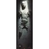 Poster Puerta Star Wars Han Solo Carbonite 1 Poster Puerta Star Wars Han Solo Carbonite -Eric Ventas poster puerta star wars han solo carbonite