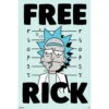 Poster Rick Y Morty Free Rick 1 Poster Rick Y Morty Free Rick -Eric Ventas poster rick y morty free rick