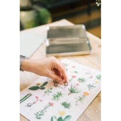 Puzzle Botanical Cacti 100 Piezas -Eric Ventas puzzle botanical cacti kokonote 100 piezas 5