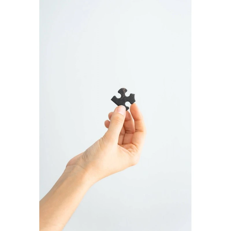 Puzzle El Señor De Los Anillos El Retorno Del Rey 500 Piezas 6 Puzzle El Señor De Los Anillos El Retorno Del Rey 500 Piezas - Imagen 4