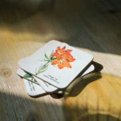 Set De Posavasos Wild Flowers -Eric Ventas set de posavasos wild flowers 6