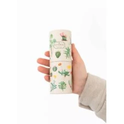 Set Lapices De Colores Botanical Cacti -Eric Ventas set lapices de colores botanical cacti kokonote 6