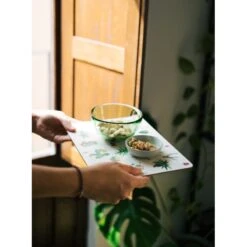 Set De Salvamanteles Botanical Cacti -Eric Ventas set salvamanteles botanical cacti kokonote 6