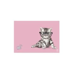 Vade Escolar Studio Pets Cats 2019 De Escritorios